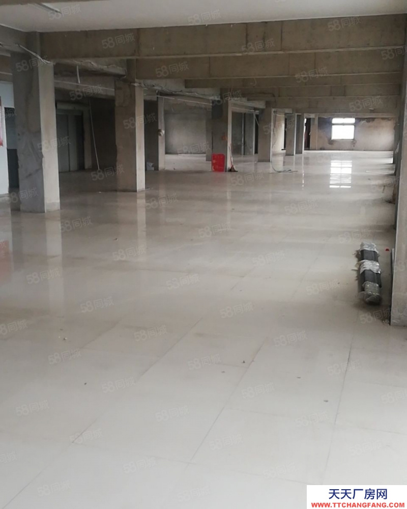 (出租)南昌西湖區 銀燕物流基地有限公司倉庫招租(可分隔)