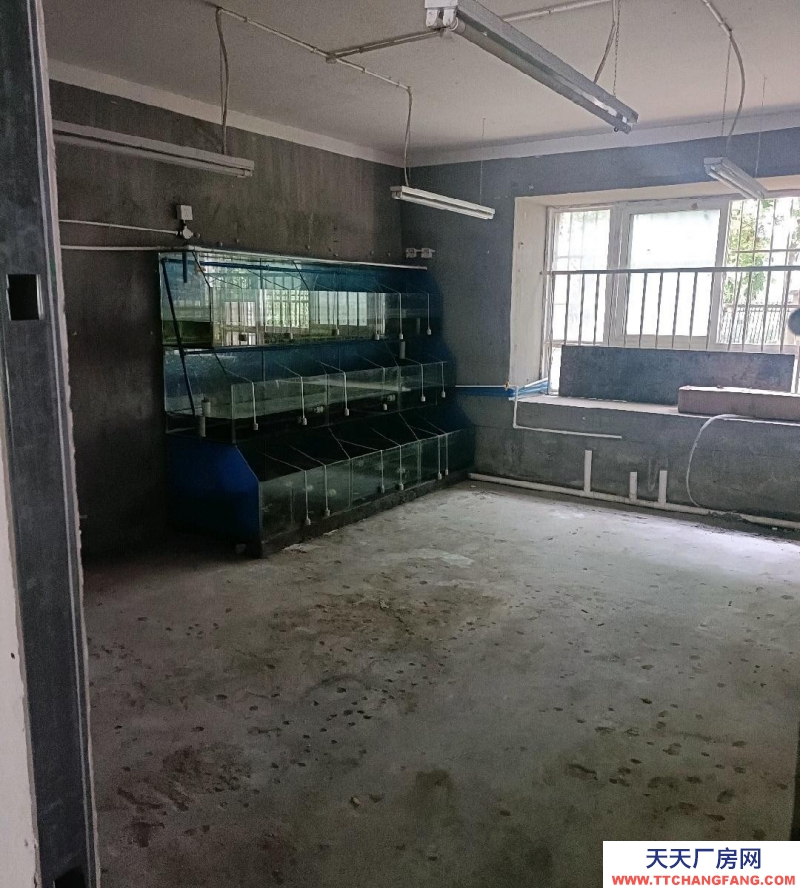 (出租) 南昌西湖萬達旁出租倉庫觀州陽光小區