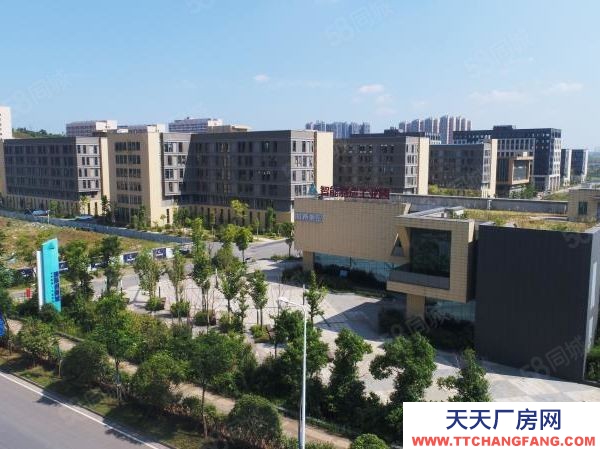 長沙市雨花區(qū)國際創(chuàng)新城寫字樓 廠房 倉庫 出租出售!