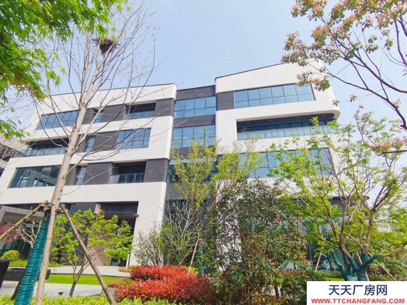 (出租) 安徽包河工業(yè)園區(qū) 成熟園區(qū) 花園式連廊獨(dú)棟 總部辦公集群 科技園