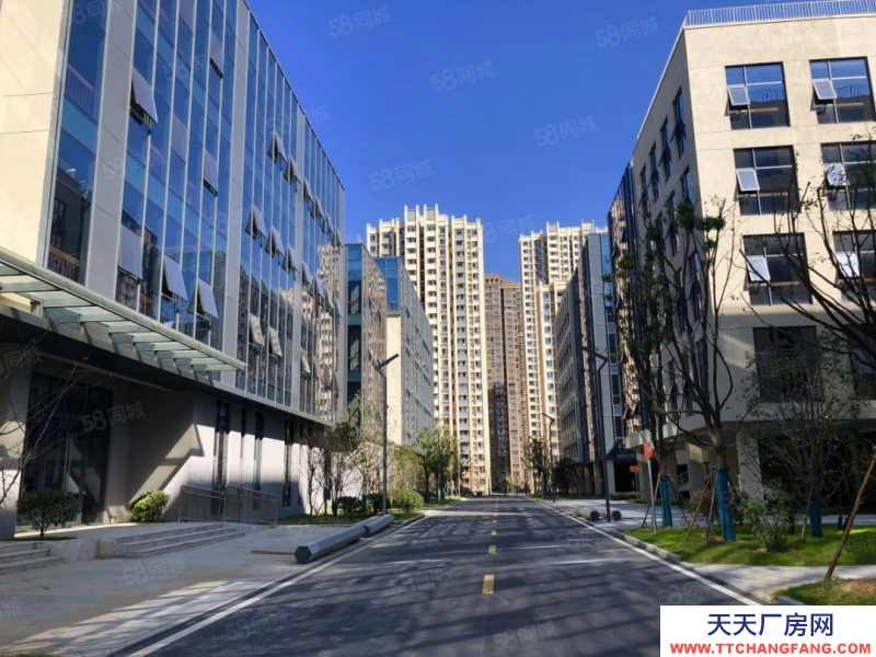 (出租) 安徽包河政府招商包河區(qū)政府園區(qū)招商研發(fā)辦公廠房出租高企可享受房租補(bǔ)貼