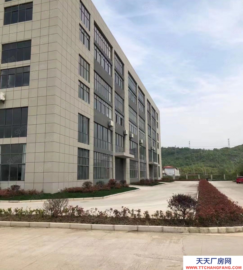 (出租) 安徽包河繁華大道旁純一層輕鋼廠房對外出租 位置好 價格優