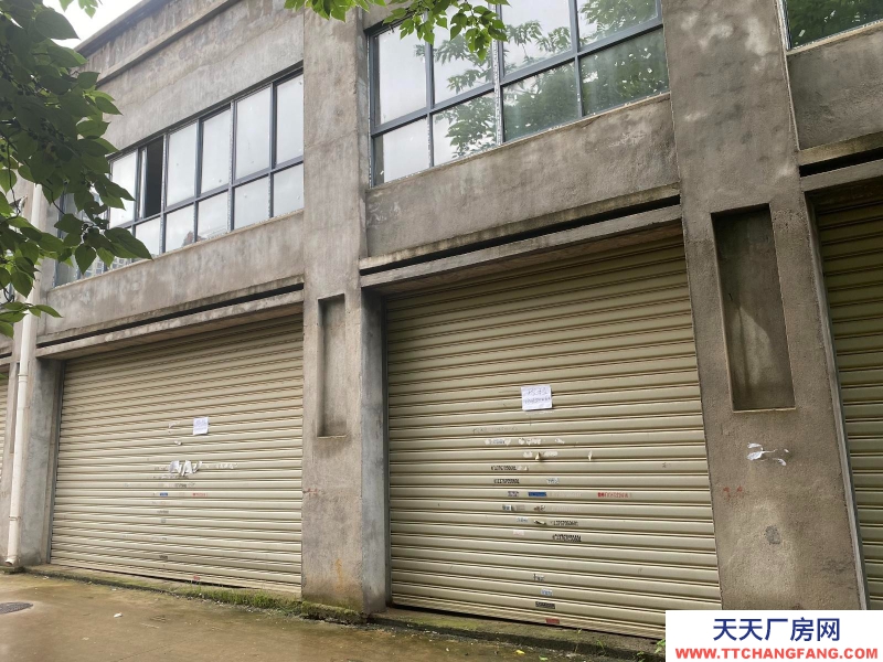 (出租) 南昌青云譜區出租墅溪公寓商鋪當倉庫租300平