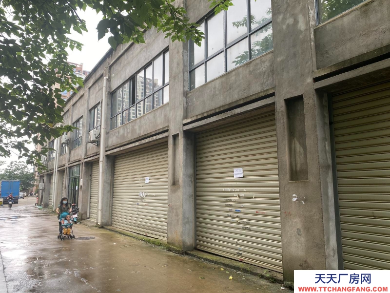 (出租) 南昌青云譜區(qū)出租墅溪公寓商鋪當倉庫租300平