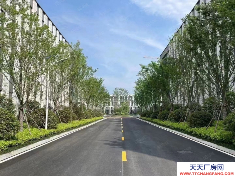 杭州余杭(出售) 老余杭邊,獨(dú)棟與分層廠房,單層1000方