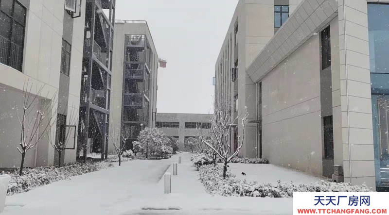 (出售)合肥包河 一企一棟,2成首付,附院子和露臺(tái),有產(chǎn)證