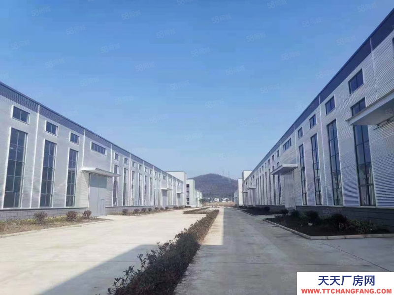 (出售) 合肥包河循環(huán)園旁獨棟廠房在售，層高7.8米，低首付