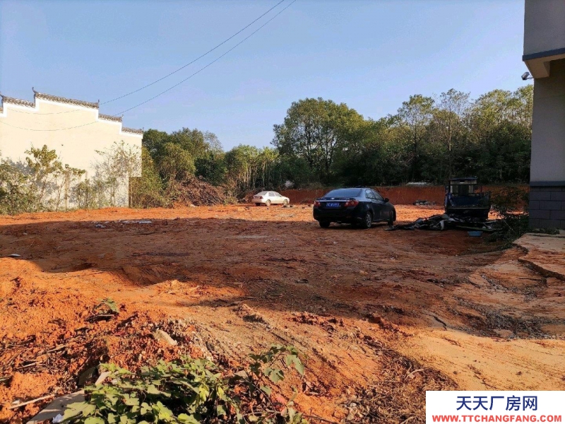 (出租)南昌新建區(qū) 廠(chǎng)房廠(chǎng)地空闊320國(guó)道傍地理位置好