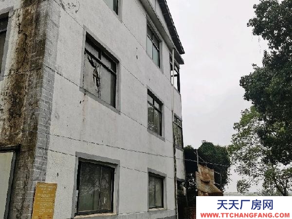 (出租) 南昌新建區廠房整改可免租三個月，