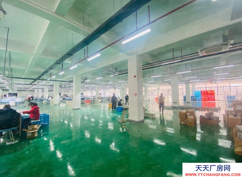 (出租)合肥包河 青網創新園政府園區無中介費300到2000平享受免租期