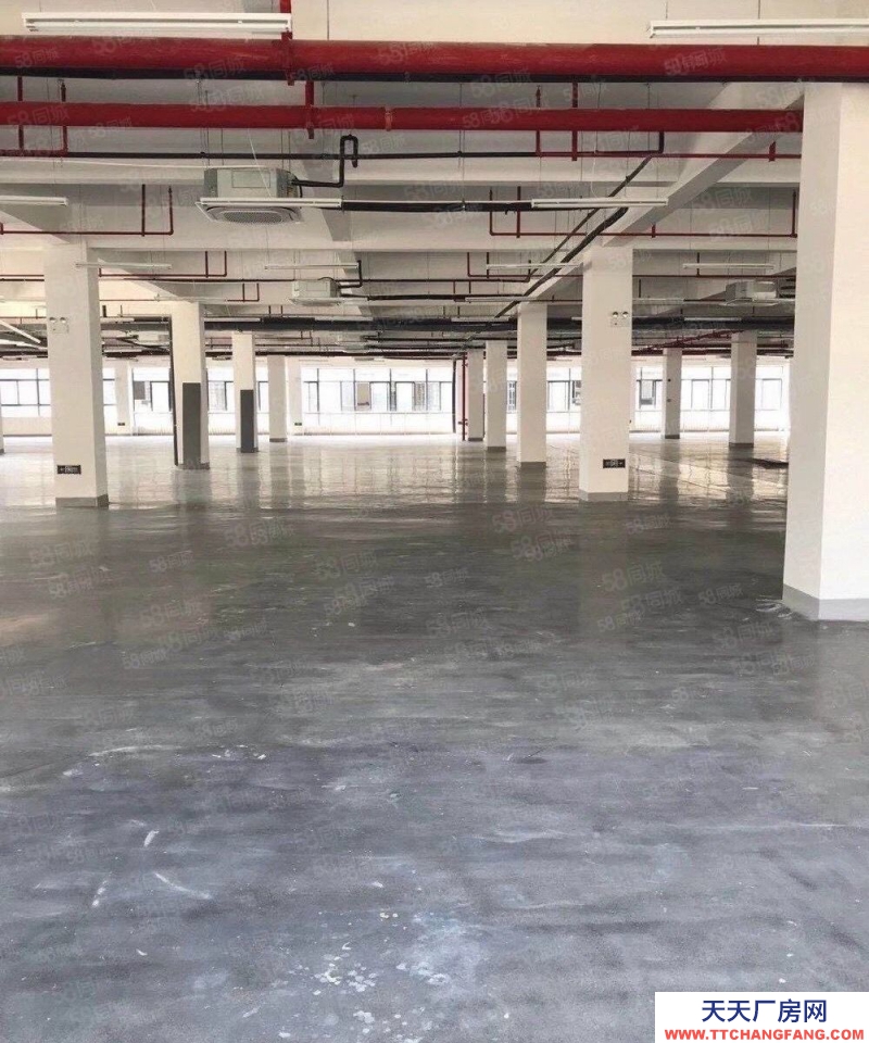 (出租)合肥包河 青網創新園政府園區無中介費300到2000平享受免租期