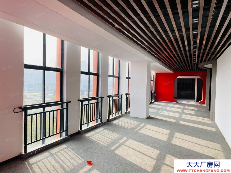 (出租)合肥包河 青網創新園政府園區無中介費300到2000平享受免租期