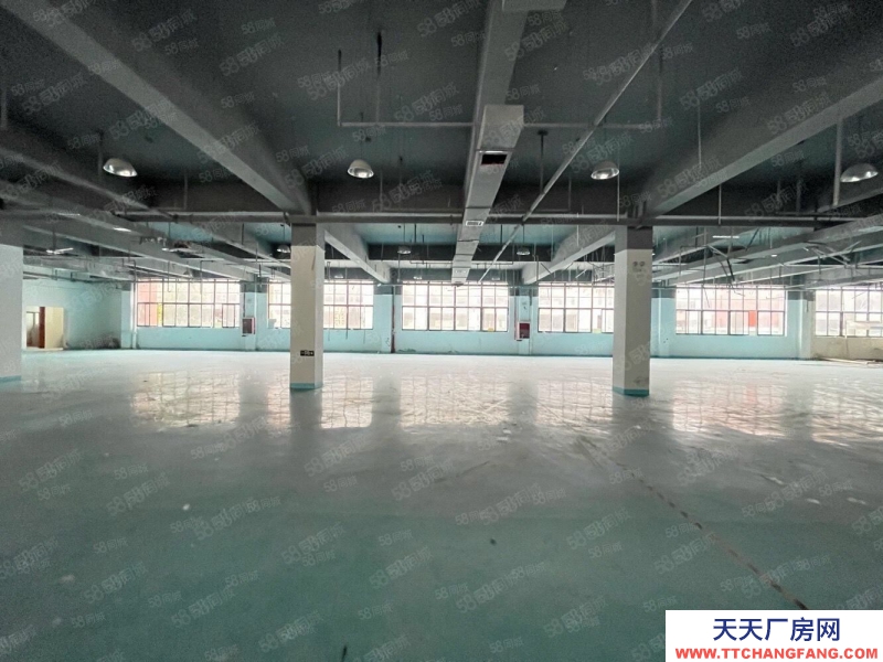 (出租) 合肥包河青網(wǎng)科技園招商部直租350平至2000平