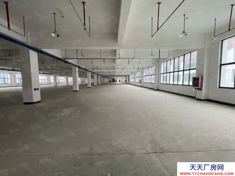 (出租) 合肥包河青網(wǎng)科技園招商部直租350平至2000平