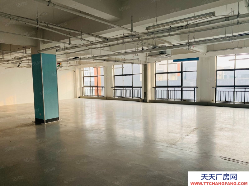 (出租) 合肥包河政府旁科技園區(qū)2245平適合電商直播展廳等企業(yè)