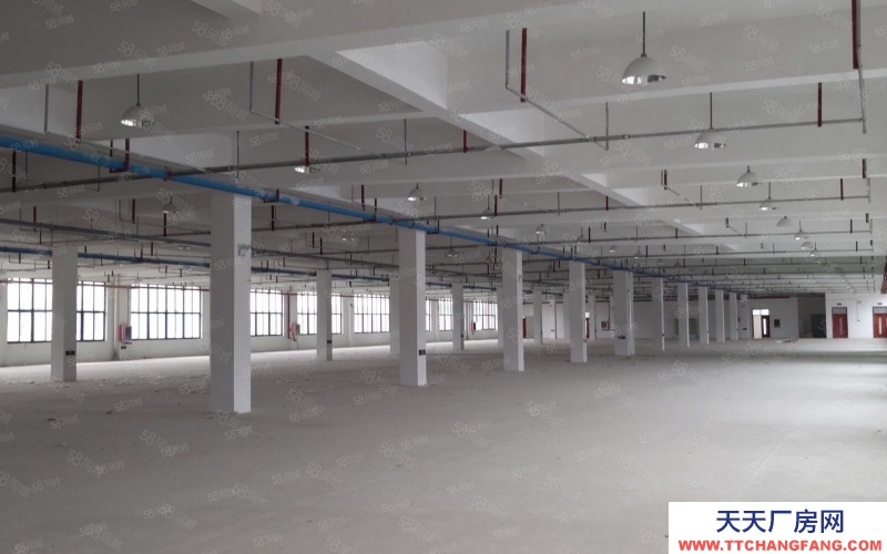 (出租) 合肥辦公加倉儲一體化的包河政府園區(qū)面積大小可選享受政策減免