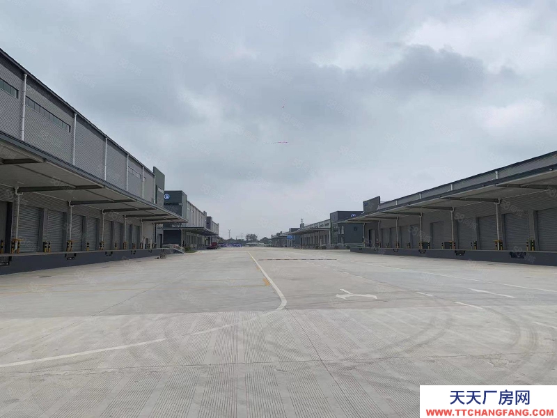 (出租) 合肥蜀山高新區2000到6000平米倉庫出租