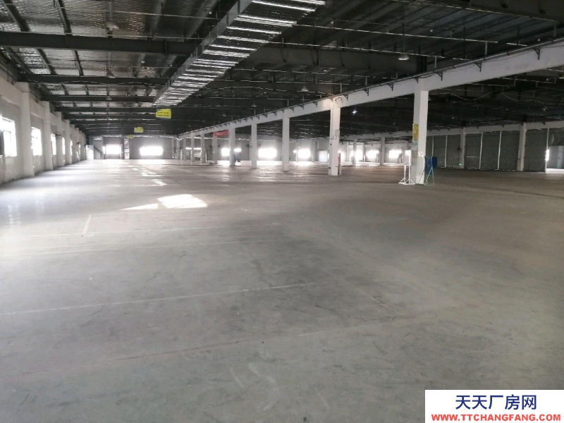 (出租) 合肥蜀山丙二廠房，可長租，適合家電，輕加工，庫房，有五噸貨梯兩部