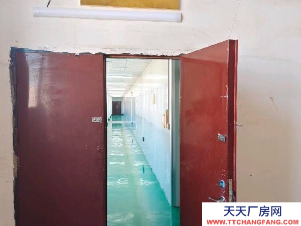 (出售) 南昌縣小藍金沙大道旁半年嶄新的食品廠房轉讓,租金7元/平