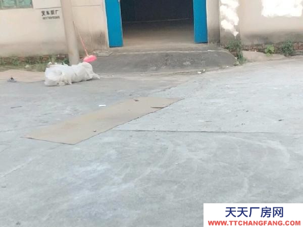 (出租) 南昌縣蓮塘鎮埂頭周家村東大路旁