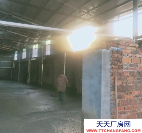 (出租) 南昌進賢縣 廠房和倉庫 交通方便