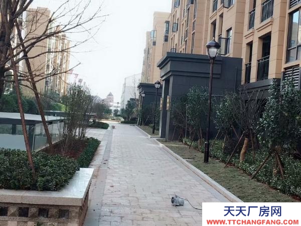 (出租) 南昌進(jìn)賢縣出租進(jìn)賢縣凱旋廣場------毛坯房供倉庫出租！