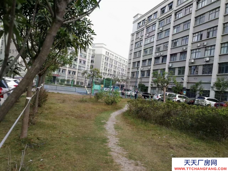 (出租)深圳 羅湖地鐵口廠房寫字樓倉庫29000平米招租