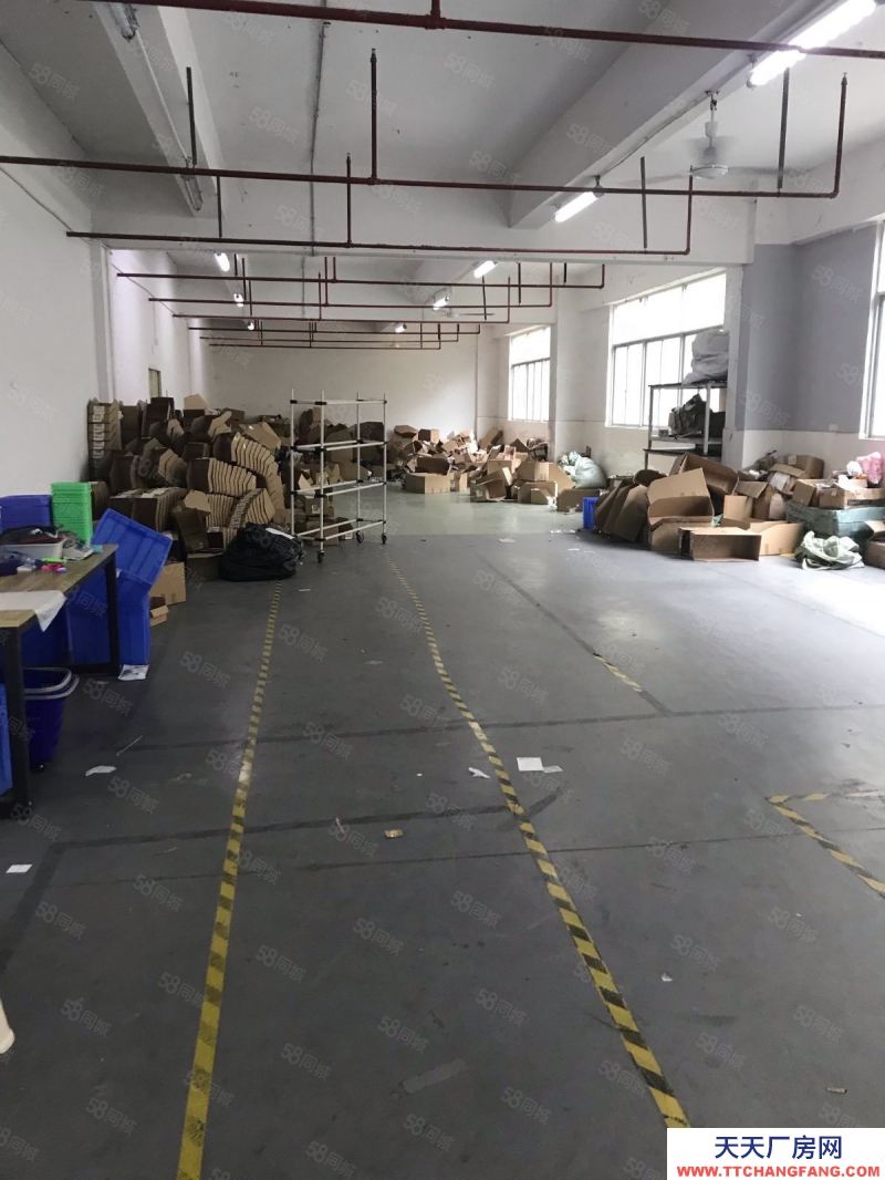 (出租)深圳 羅湖廠房倉庫200平360平至3000平大小可分