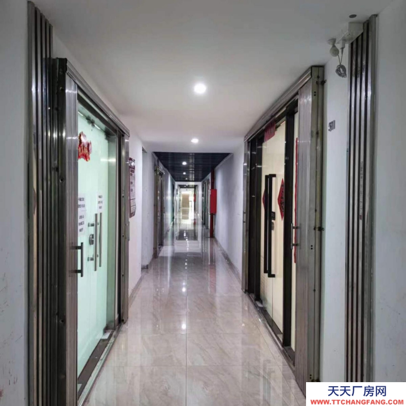 (出租) 深圳羅湖筍崗美芝大廈辦公 廠房 倉庫 | 業主直租