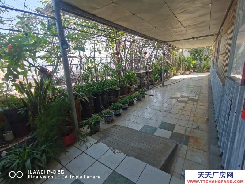 (出租) 深圳羅湖適合珠寶展示、加工，網購辦公，倉儲等