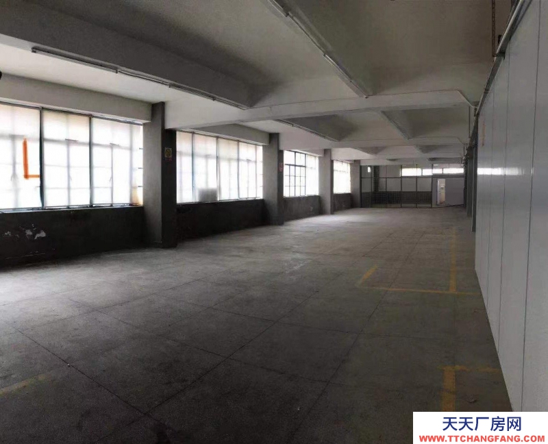 (出租) 深圳羅湖黃貝嶺新秀古玩城附近200平可分租