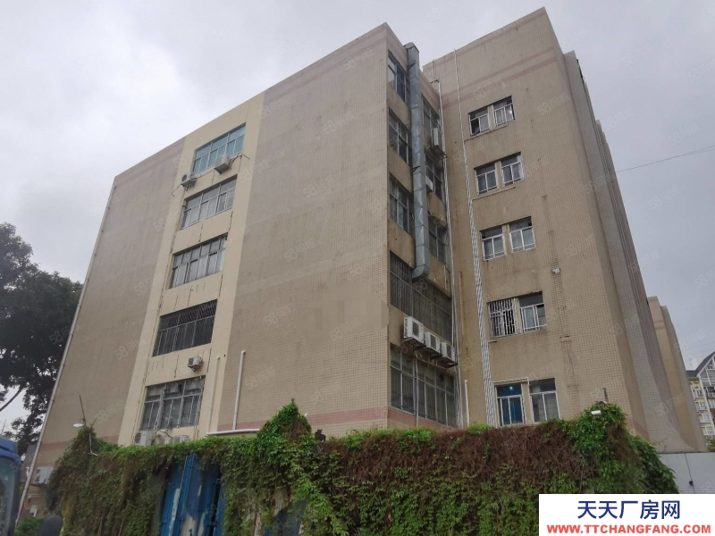 (出售) 深圳福田鵬基工業區廠房出售,13358平方低于市場價1個億