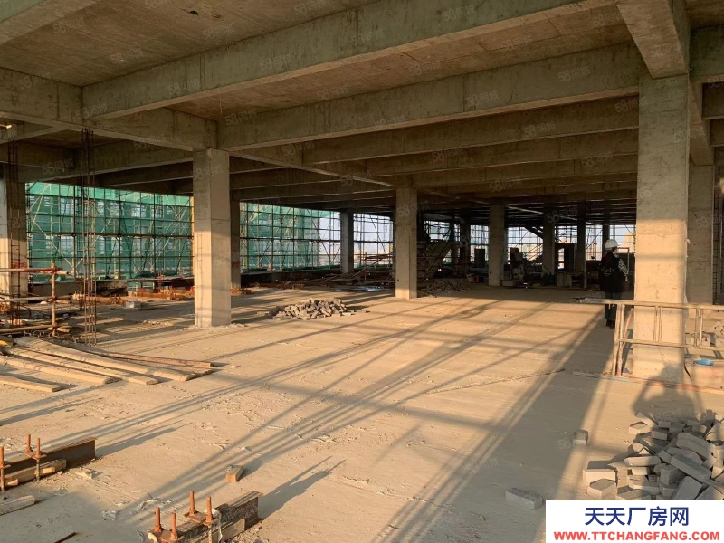 青島 城陽上馬街道高新區(qū) 河?xùn)|路 寫字樓 辦公樓 廠房特價