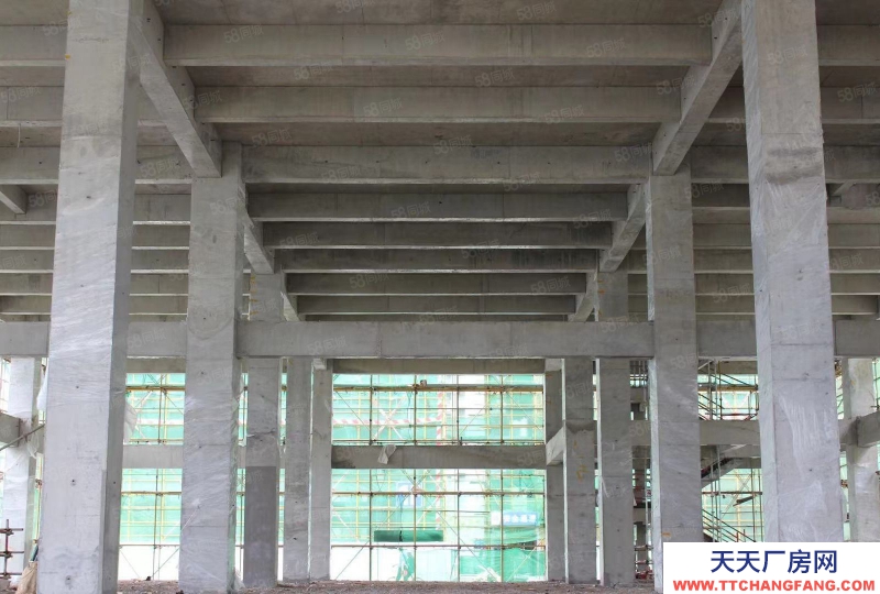 青島 城陽上馬街道高新區(qū) 河?xùn)|路 寫字樓 辦公樓 廠房特價