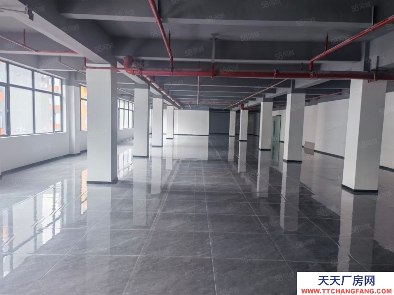 (出租) 深圳福田布吉國企廠房300平600平900平至300平出租