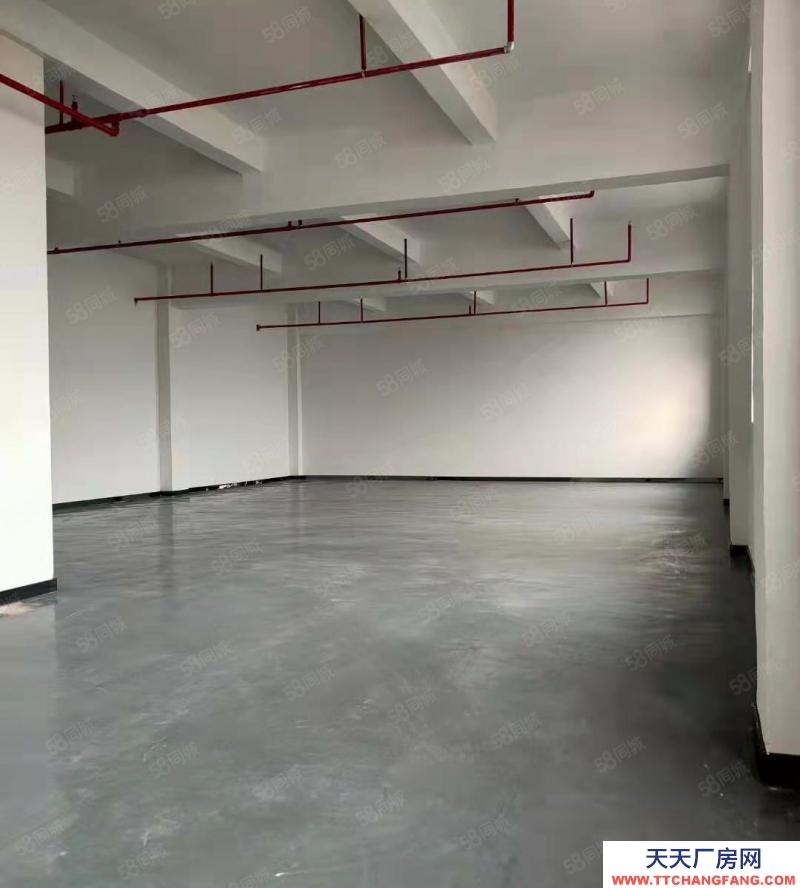 (出租)深圳福田 八卦嶺帶裝修 倉庫廠房出租200平 500平 1000平可分