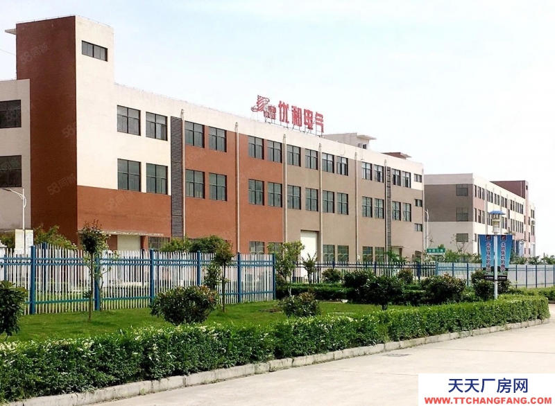 青島膠州標準廠房(首層8.1,二層4.5,超高性價比)