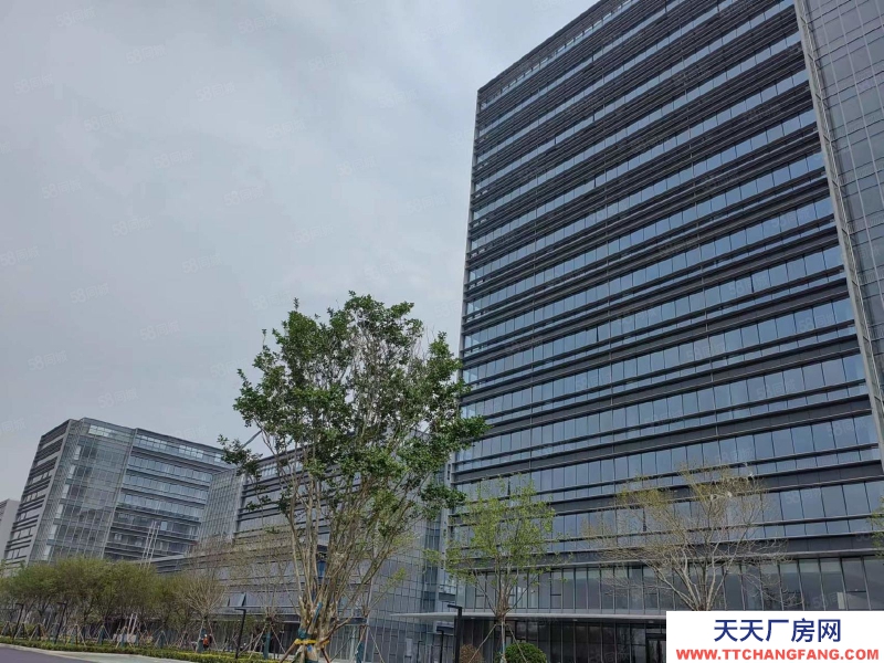 青島膠州上合示范區(qū)核心位置高標(biāo)準(zhǔn)園區(qū)廠房