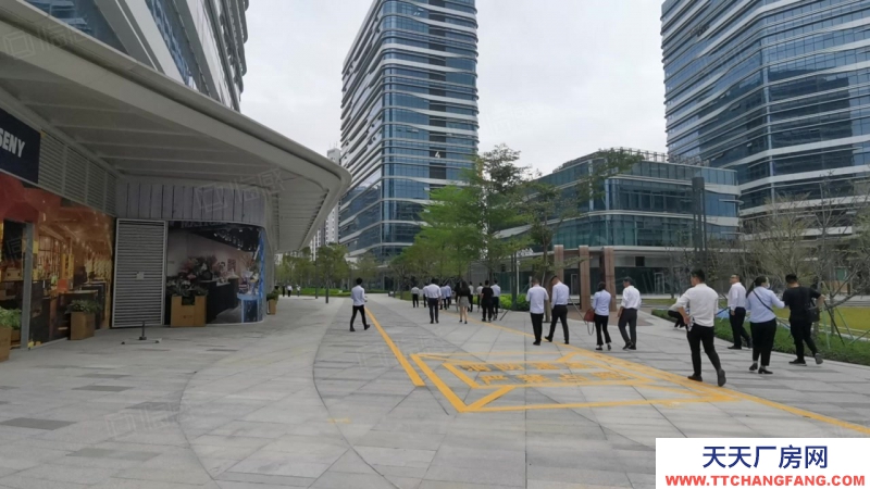 (出租) 深圳南山龍華光明新建獨立紅本研發(fā)廠房300平起租，入住免租6個月