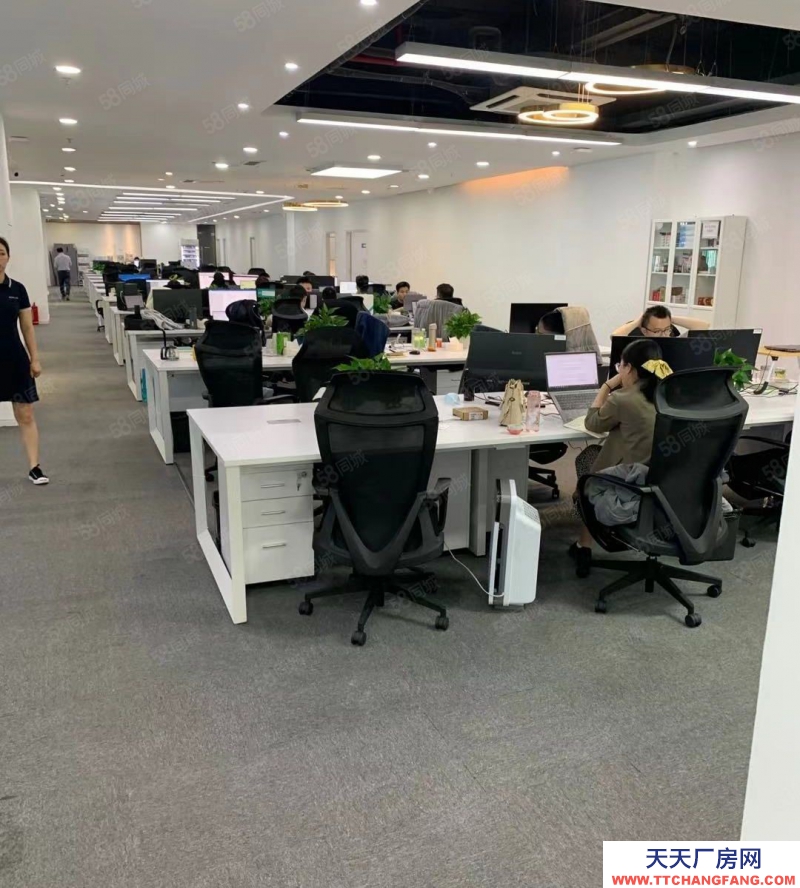 (出租) 深圳南山西麗地鐵口精裝修100平至2000平自由分割可帶辦公家私