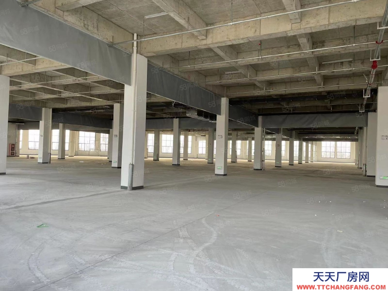 (出租) 安徽肥東縣撮鎮(zhèn)鎮(zhèn)大彭路2W平方廠房招租