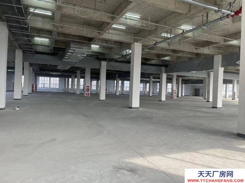 (出租) 安徽肥東縣撮鎮(zhèn)鎮(zhèn)大彭路2W平方廠房招租