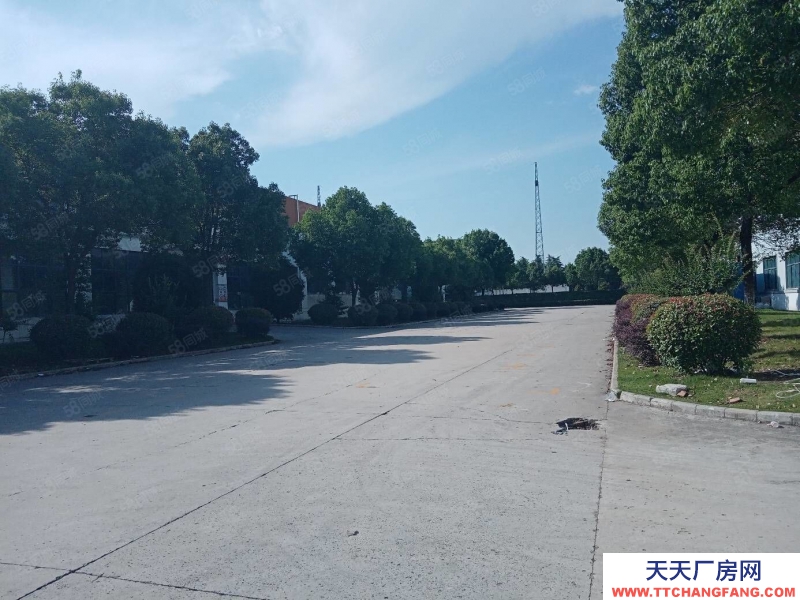 (出租) 合肥蜀山3500平鋼結構廠房，需要生產型企業