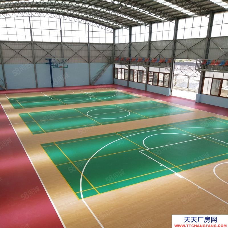 (出租) 合肥蜀山體育館招租 籃球 桌球 乒乓球 跆拳道 輪滑 蹦床 公司直租