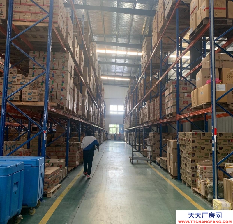 青島膠州新建廠房，水泥地面，高6米，寬35長38