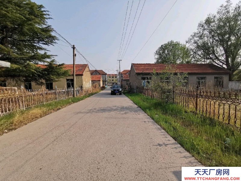 青島膠州洋河鎮(zhèn)駐地，有平房若干，對外出租，單門獨院。