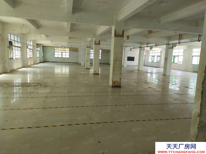 (出售) 深圳南山西麗2580平紅本小獨院廠房出售占地1150平產權27年