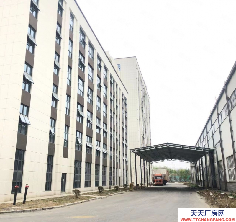 (出租) 合肥蜀山經開主干道上獨棟1001平標準廠房 ,場地寬敞