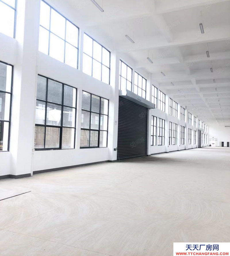 (出租) 合肥蜀山經開主干道上獨棟1001平標準廠房 ,場地寬敞