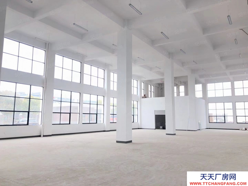 (出租) 合肥蜀山經開主干道上獨棟1001平標準廠房 ,場地寬敞